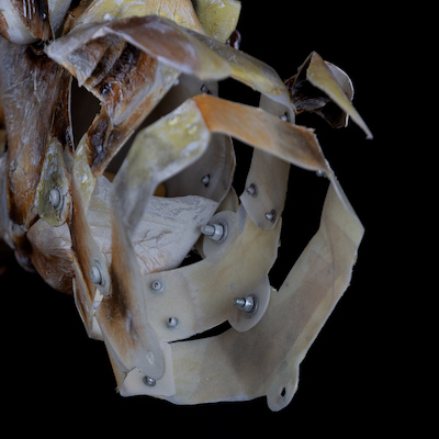 MTM.2018.0156.0304 MTM.2018.0156.0304